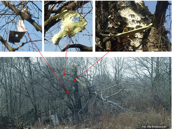Identified pieces of the detachable left wing part hanging on April 10, 2010 on the branches of (Bodin) birch tree claimed to have cut the wing (noted "bb").